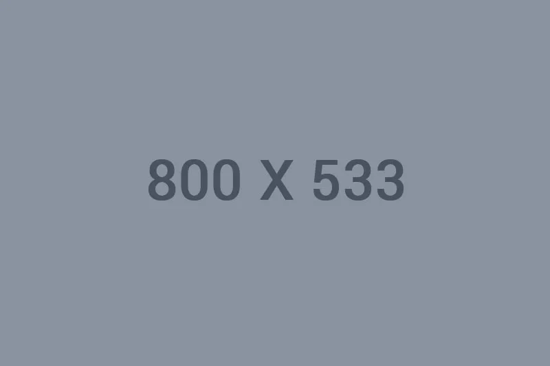 1xbet