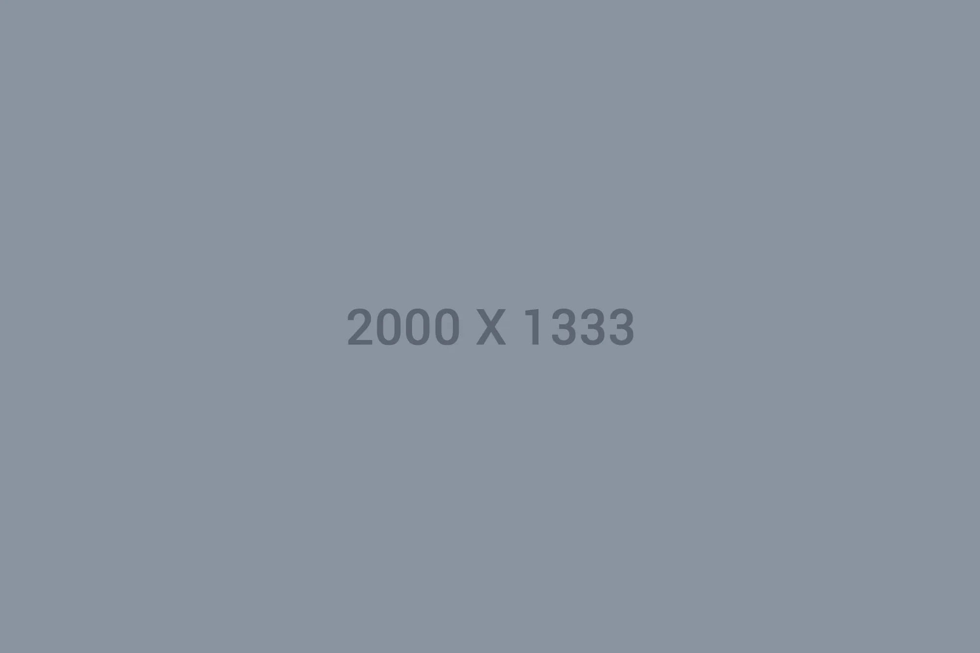 1xbet